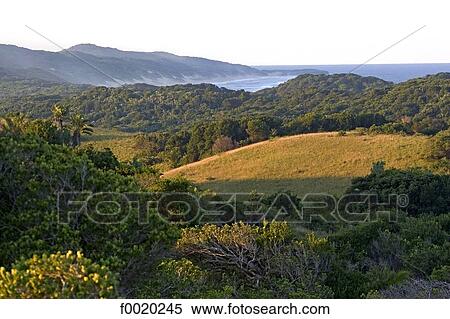 South Africa, Zululand, Saint Lucia park View Large Photo Image Stock Photography - South Africa, Zululand, Saint Lucia park. Fotosearch