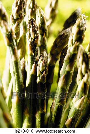 A bunch of asparagus View Large Photo Image Stock Image - A bunch of asparagus. Fotosearch