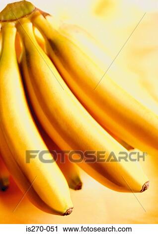 Bright yellow bananas View Large Photo Image Stock Image - Bright yellow bananas. Fotosearch