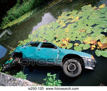 car, dumped, environment, lake, lilies View Large Photo Image Stock Image - car, dumped, environment, lake, lilies. Fotosearch