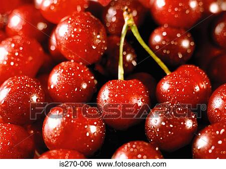 Fresh cherries View Large Photo Image Stock Photograph - Fresh cherries. Fotosearch