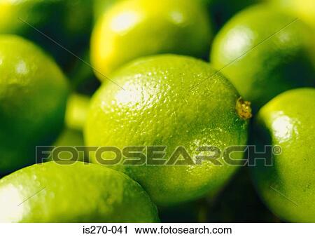 Stock Image - Fresh limes. Fotosearch