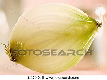 Inside of an onion View Large Photo Image Stock Photograph - Inside of an onion. Fotosearch