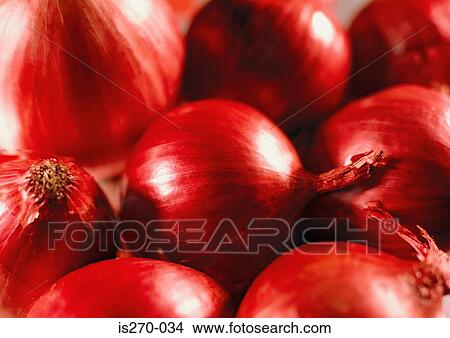 Shiny red onions View Large Photo Image Picture - Shiny red onions. Fotosearch