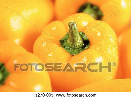 Washed yellow peppers View Large Photo Image Stock Photography - Washed yellow peppers. Fotosearch