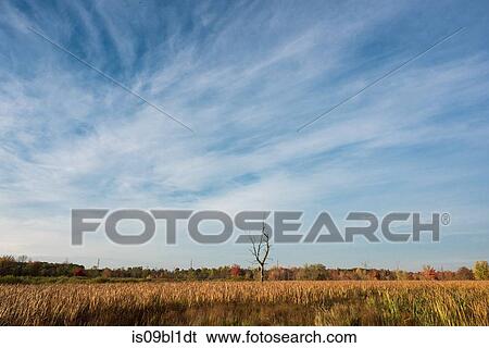 Autumn countryside, Kingston, Ontario, Canada View Large Photo Image Stock Photograph - Autumn countryside, Kingston, Ontario, Canada. Fotosearch
