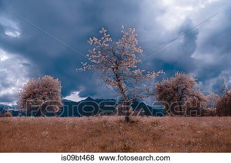 Autumn landscape with meadow and storm clouds over mountains, Francenigo, Veneto, Italy View Large Photo Image Stock Photo - Autumn landscape with meadow and storm clouds over mountains, Francenigo, Veneto, Italy. Fotosearch