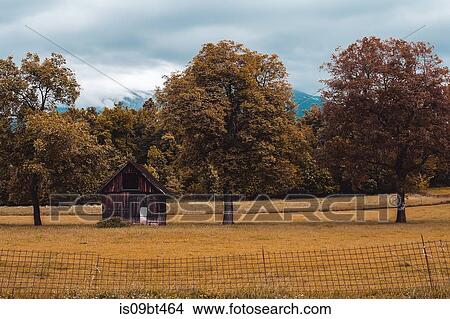 Autumn landscape with rustic agricultural building, Francenigo, Veneto, Italy View Large Photo Image Picture - Autumn landscape with rustic agricultural building, Francenigo, Veneto, Italy. Fotosearch