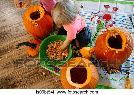 Baby boy playing with pumpkin seeds in colander View Large Photo Image Stock Image - Baby boy playing with pumpkin seeds in colander. Fotosearch