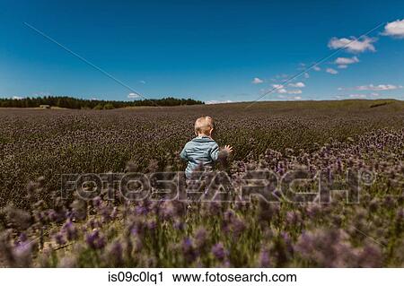 Baby exploring meadow, Wanaka, Taranaki, New Zealand View Large Photo Image Stock Image - Baby exploring meadow, Wanaka, Taranaki, New Zealand. Fotosearch