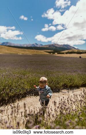 Baby exploring meadow, Wanaka, Taranaki, New Zealand View Large Photo Image Stock Image - Baby exploring meadow, Wanaka, Taranaki, New Zealand. Fotosearch