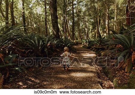 Picture - Baby girl exploring forest, Queenstown, Canterbury, New Zealand. Fotosearch