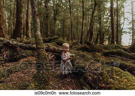 Baby girl exploring forest, Queenstown, Canterbury, New Zealand View Large Photo Image Picture - Baby girl exploring forest, Queenstown, Canterbury, New Zealand. Fotosearch
