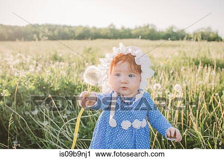 Stock Image - Baby girl in field, holding dandelion. Fotosearch