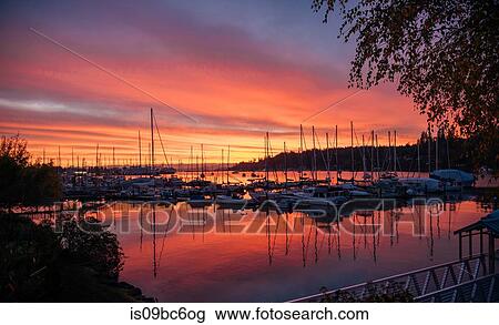 Boats in harbor at sunset, Bainbridge, Washington, United States View Large Photo Image Stock Image - Boats in harbor at sunset, Bainbridge, Washington, United States. Fotosearch