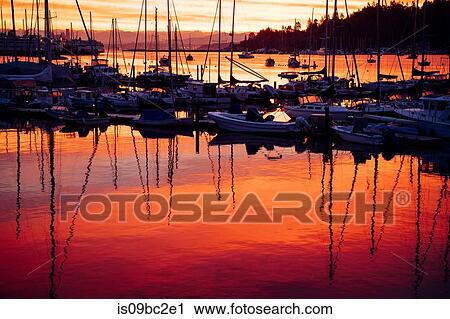 Stock Image - Boats in harbour at sunset, Bainbridge, Washington, USA. Fotosearch