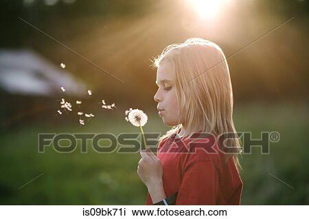 Boy blowing dandelion View Large Photo Image Stock Image - Boy blowing dandelion. Fotosearch