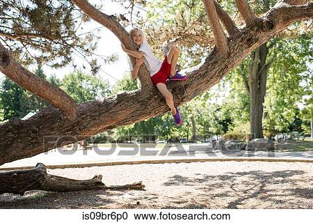 Boy clinging onto tree branch in park View Large Photo Image Stock Image - Boy clinging onto tree branch in park. Fotosearch