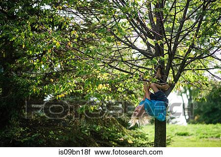 Stock Image - Boy hanging upside down on tree. Fotosearch