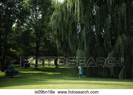 Stock Image - Boy playing under willow tree. Fotosearch