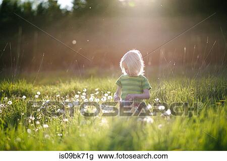 Stock Image - Boy playing with dandelions in green grassy field. Fotosearch