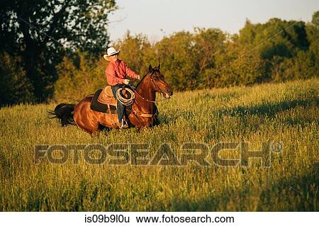Boy riding horse in field View Large Photo Image Stock Photograph - Boy riding horse in field. Fotosearch