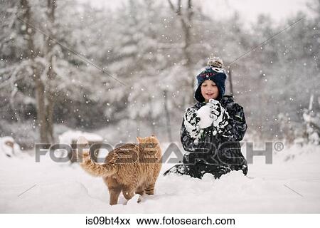 Boy tempted to throw snowball at cat View Large Photo Image Stock Photo - Boy tempted to throw snowball at cat. Fotosearch