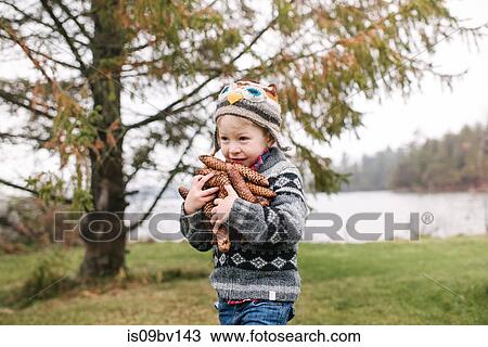 Boy with armful of brown pine cones, Kingston, Ontario, Canada View Large Photo Image Stock Image - Boy with armful of brown pine cones, Kingston, Ontario, Canada. Fotosearch