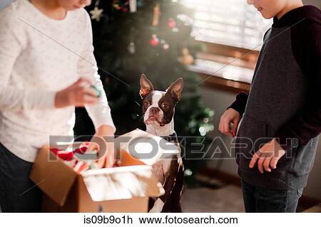 Stock Image - Brother and sister putting up Christmas decorations. Fotosearch
