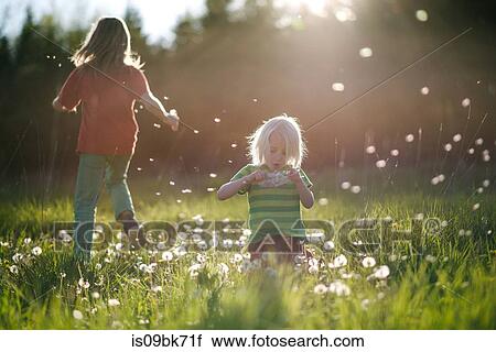 Stock Image - Brothers playing and blowing dandelions in green grassy field. Fotosearch