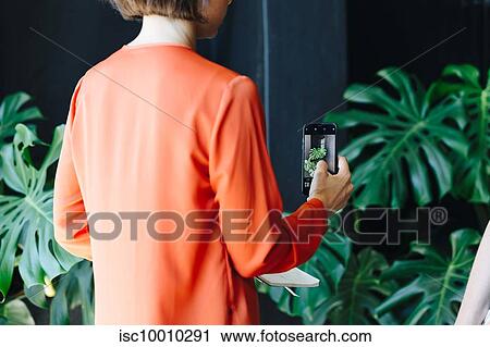 Businesswoman taking photograph of plant in office View Large Photo Image Stock Image - Businesswoman taking photograph of plant in office. Fotosearch