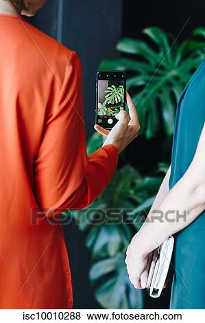 Stock Photo - Businesswoman taking photograph of plant in office. Fotosearch