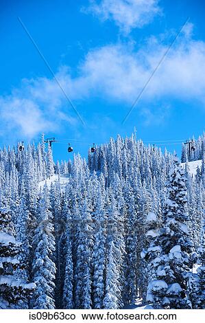 Cable car over forested snow covered mountains, Aspen, Colorado, USA View Large Photo Image Picture - Cable car over forested snow covered mountains, Aspen, Colorado, USA. Fotosearch