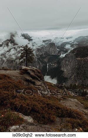 Stock Image - Carpet of clouds in mountain ranges, Yosemite National Park, California, United States. Fotosearch