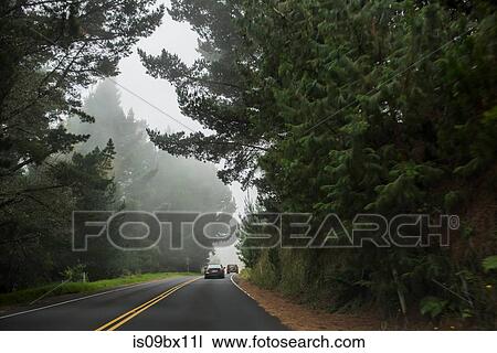 Cars on road, Haleakala, Maui, Hawaii View Large Photo Image Stock Image - Cars on road, Haleakala, Maui, Hawaii. Fotosearch