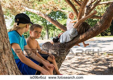Stock Photo - Children relaxing on tree fork in park. Fotosearch