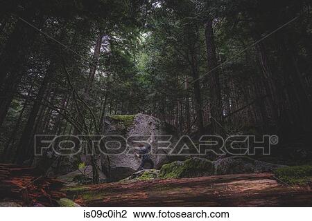 Climber bouldering in forest, Squamish, Canada View Large Photo Image Stock Image - Climber bouldering in forest, Squamish, Canada. Fotosearch