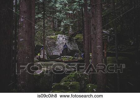 Stock Photo - Climber bouldering in forest, Squamish, Canada. Fotosearch