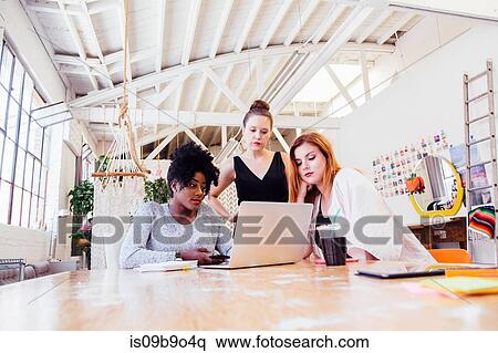 Colleagues in office using laptop together View Large Photo Image Stock Photography - Colleagues in office using laptop together. Fotosearch