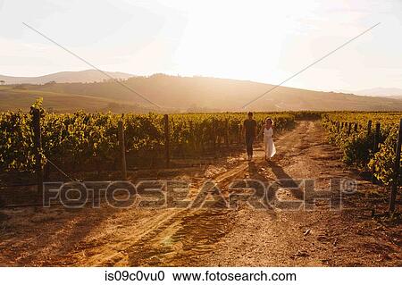 Stock Image - Couple walking along vineyard, Cape Town, South Africa. Fotosearch