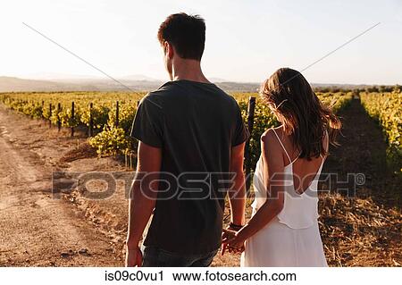 Stock Image - Couple walking along vineyard, Cape Town, South Africa. Fotosearch