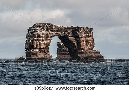 Darwin's arch, Darwin Island, Seymour, Galapagos, Ecuador, South America View Large Photo Image Stock Photo - Darwin's arch, Darwin Island, Seymour, Galapagos, Ecuador, South America. Fotosearch