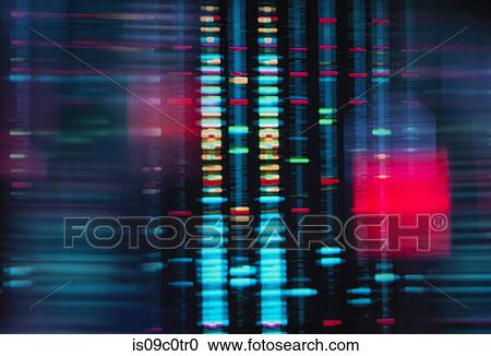 Stock Image - Digital screen showing DNA profile match. Fotosearch