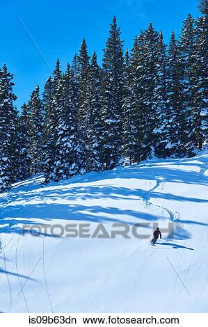 Distant view of man skiing down snow covered landscape, Aspen, Colorado, USA View Large Photo Image Picture - Distant view of man skiing down snow covered landscape, Aspen, Colorado, USA. Fotosearch