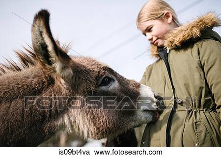 Donkey licking girl's parka View Large Photo Image Stock Image - Donkey licking girl's parka. Fotosearch