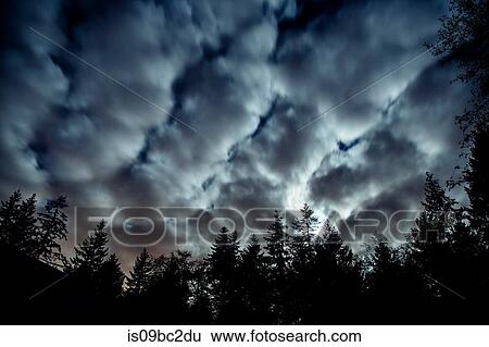 Stock Photograph - Dramatic clouds over trees, Bainbridge, Washington, USA. Fotosearch