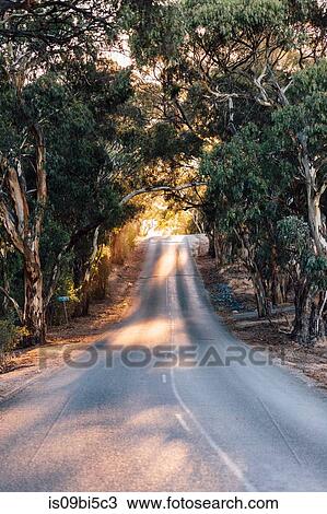 Empty road, Sevenhill, Clare Valley, South Australia, Australia View Large Photo Image Stock Image - Empty road, Sevenhill, Clare Valley, South Australia, Australia. Fotosearch