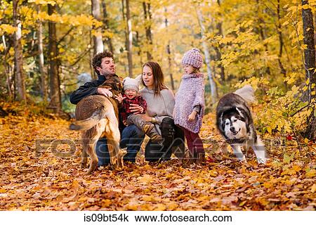 Family of four and dogs in forest View Large Photo Image Stock Image - Family of four and dogs in forest. Fotosearch