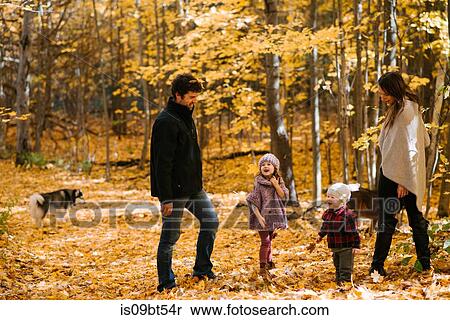 Family of four and dogs in forest View Large Photo Image Stock Photography - Family of four and dogs in forest. Fotosearch