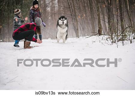 Family with pet dog playing in snow landscape View Large Photo Image Stock Photograph - Family with pet dog playing in snow landscape. Fotosearch